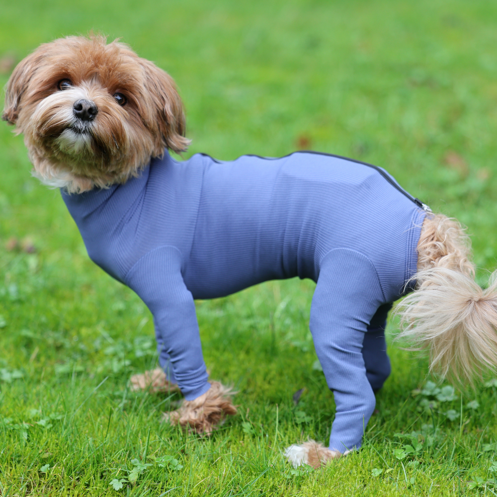 Dog Body with Zipper