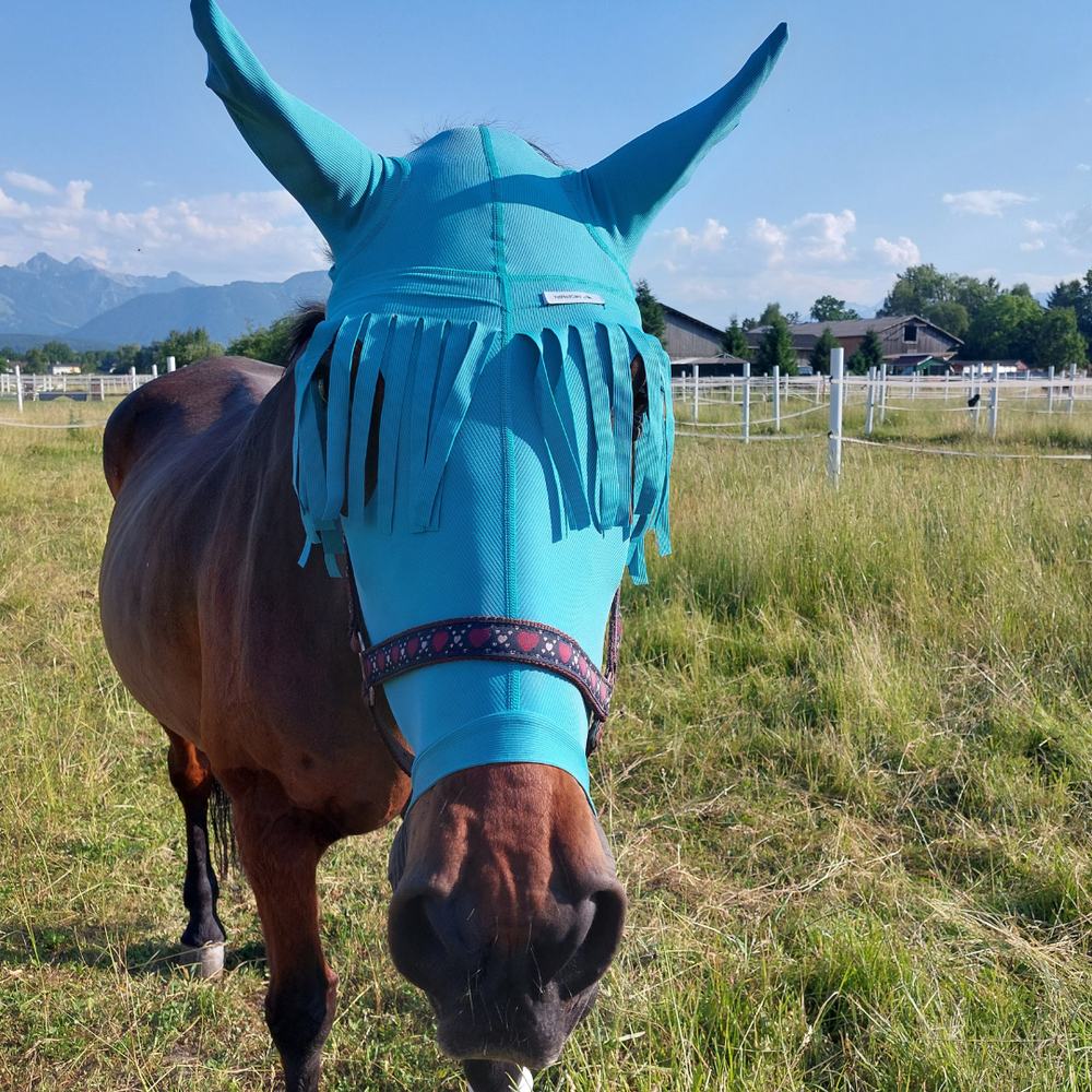 Horse head and ear protection with forehead fringes