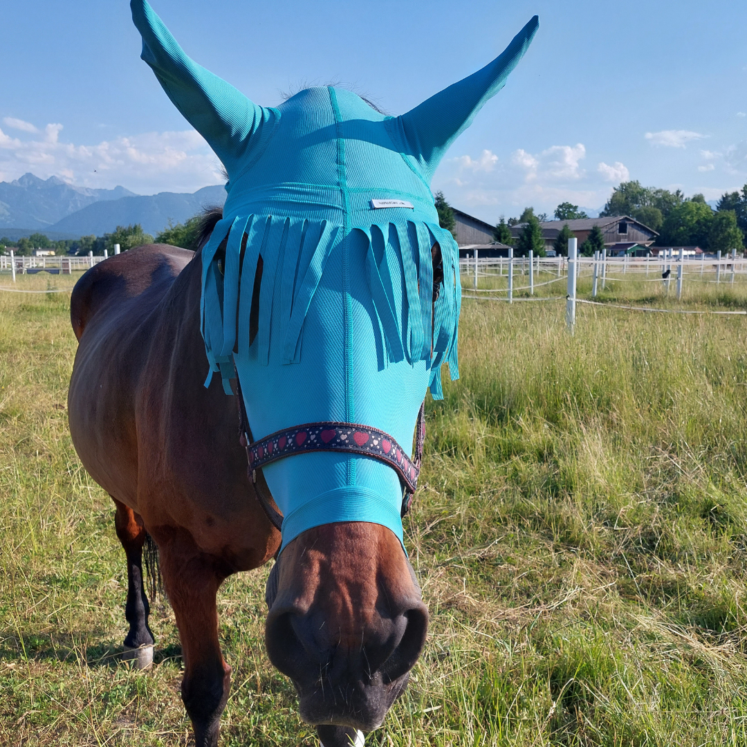 Horse head and ear protection with forehead fringes