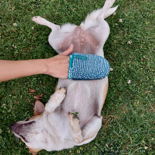 Grooming gloves