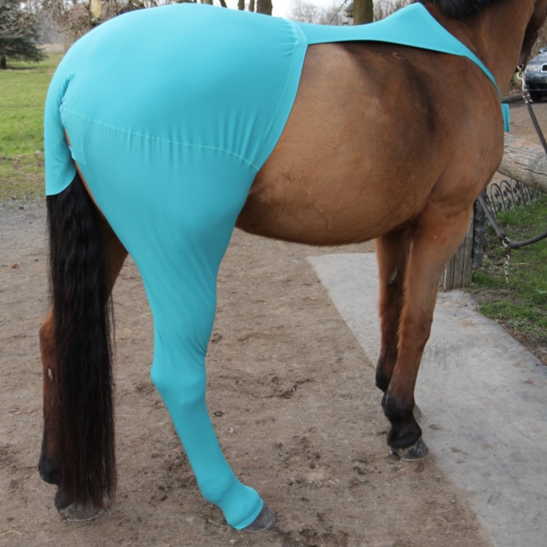 Horse leg warmer rear