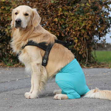 Pantaloni di sicurezza