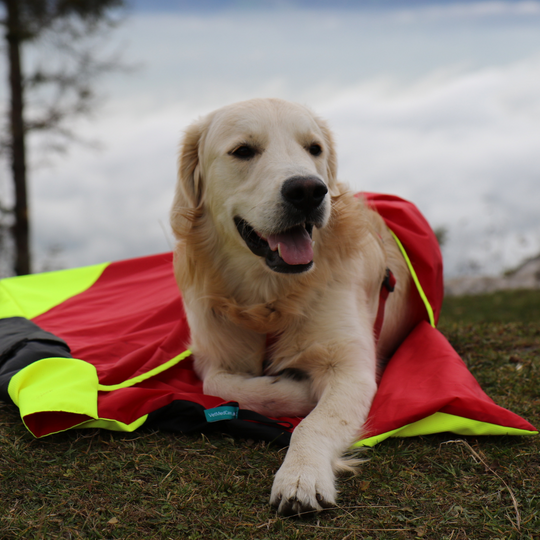 Safety Bag