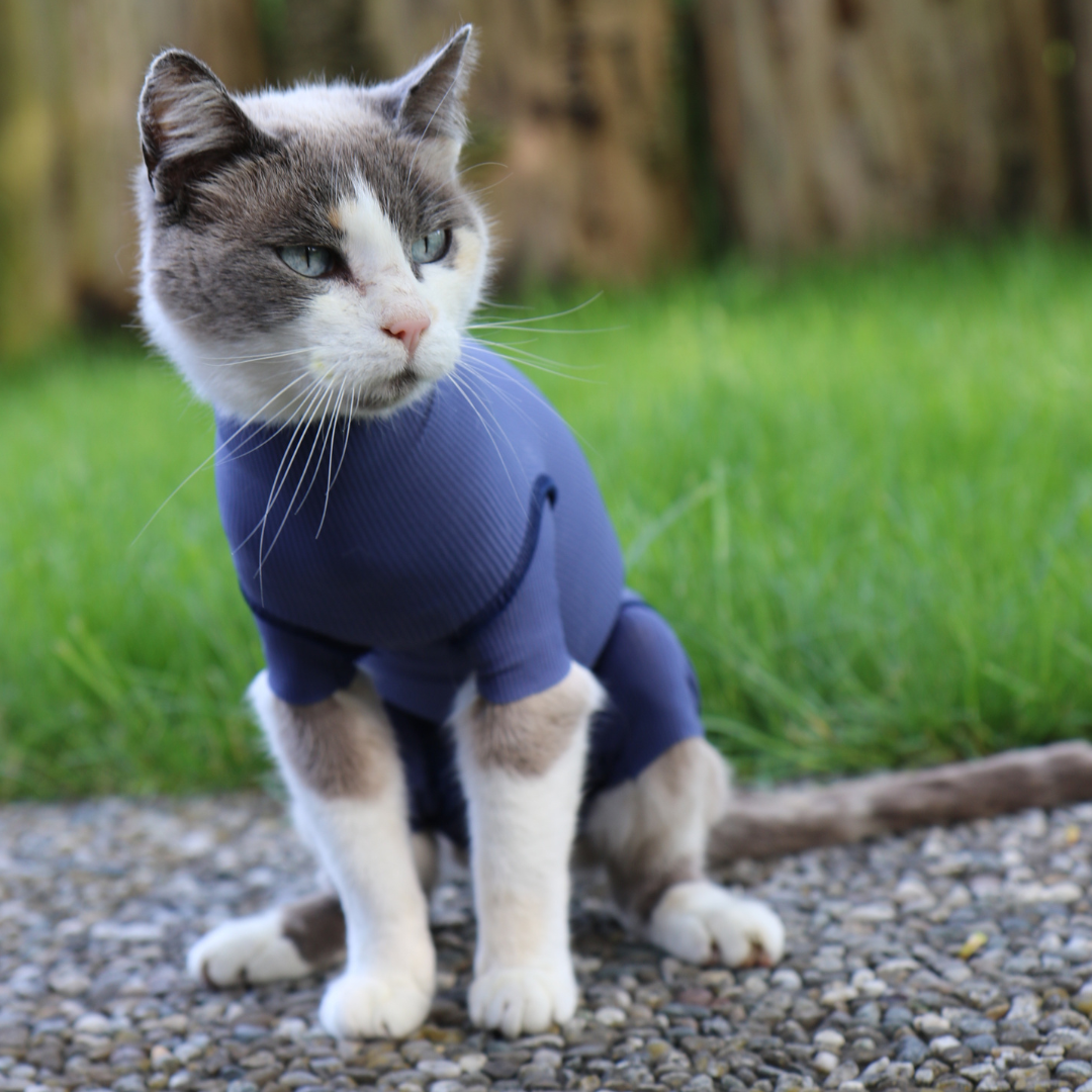 Cat Body