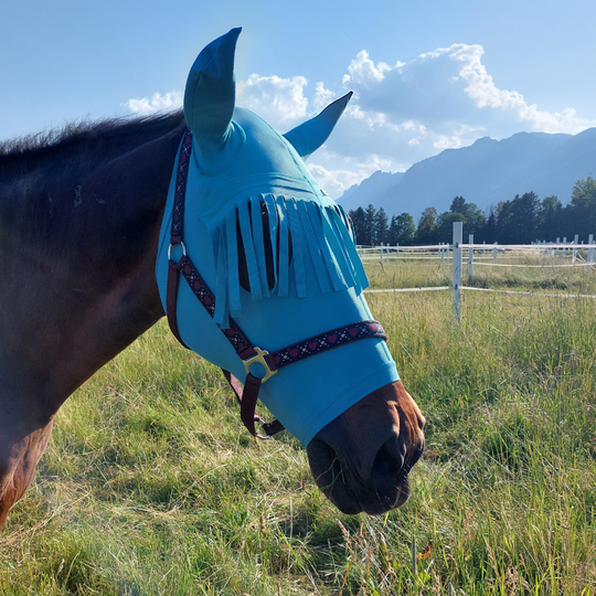 Horse head and ear protection with forehead fringes