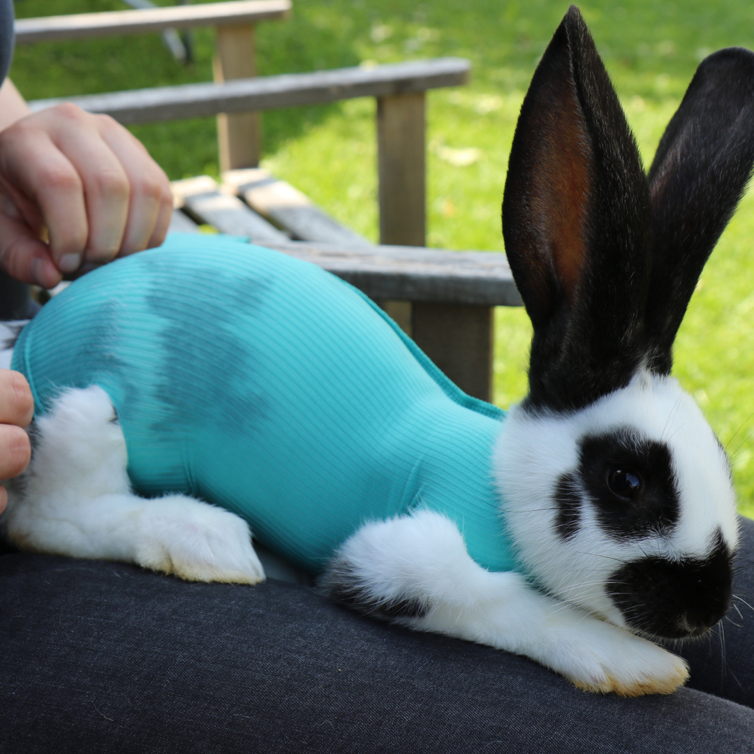 Safety Tube for small animals