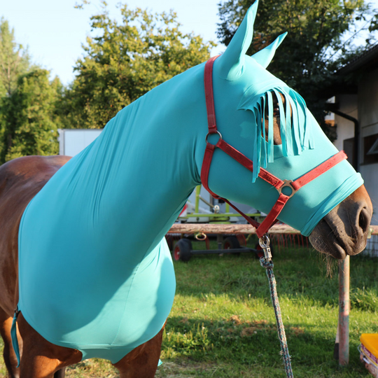 Horse hood