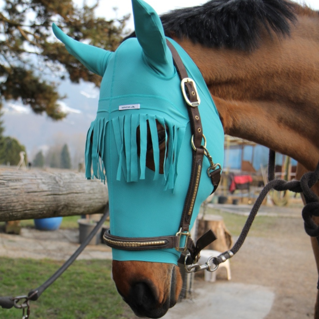 Horse head and ear protection with forehead fringes