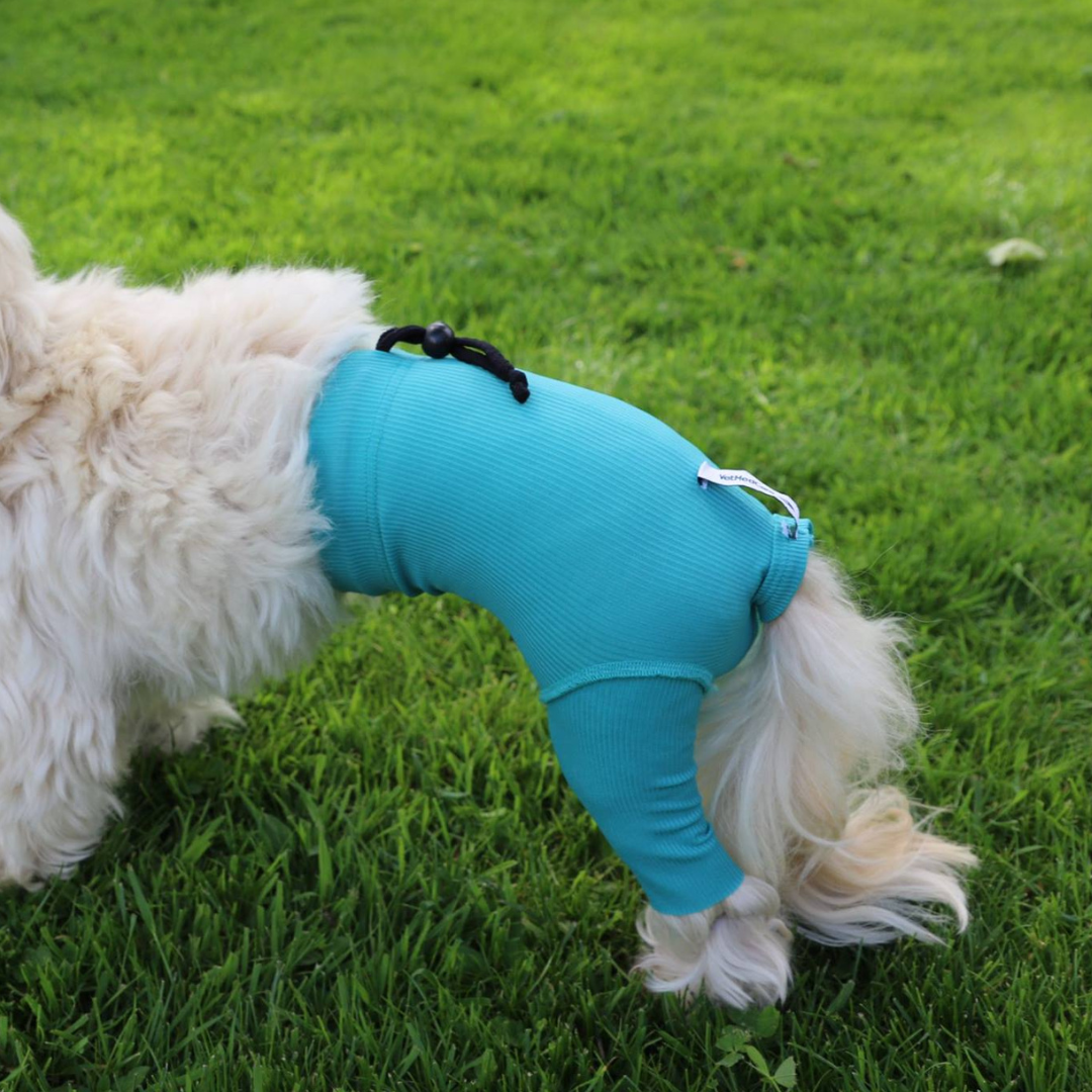 Safety Pants