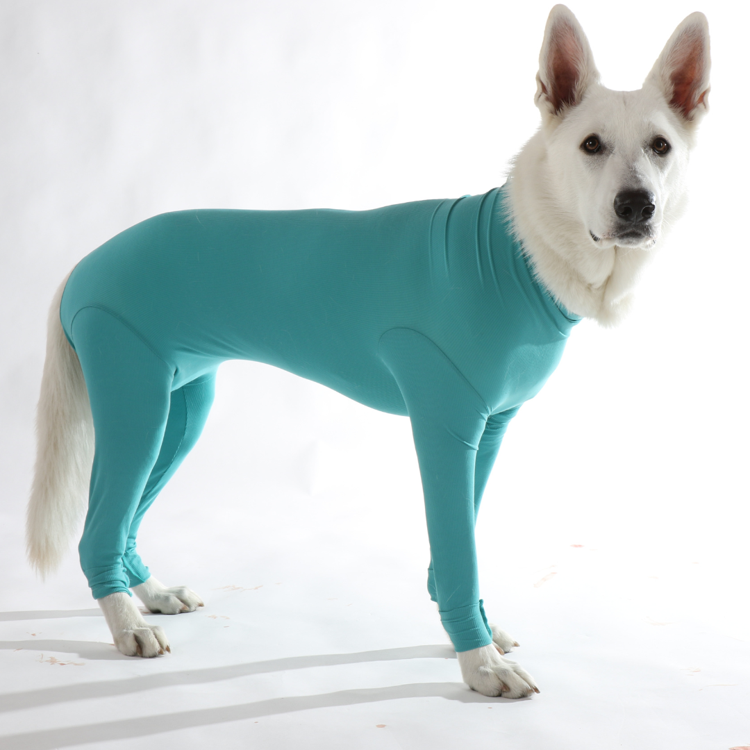 Dog body with legs