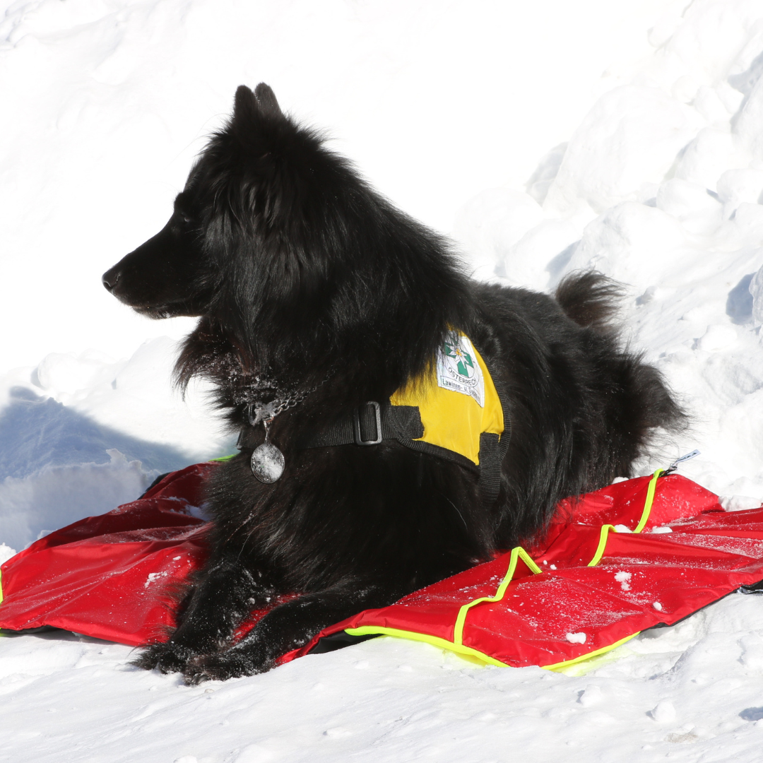 Safety Bag