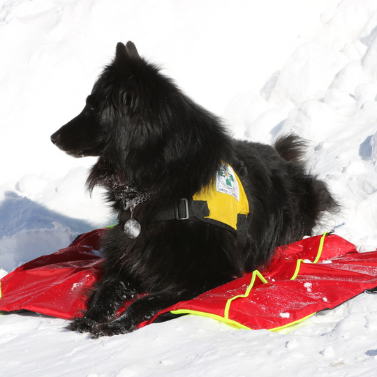 Safety Bag