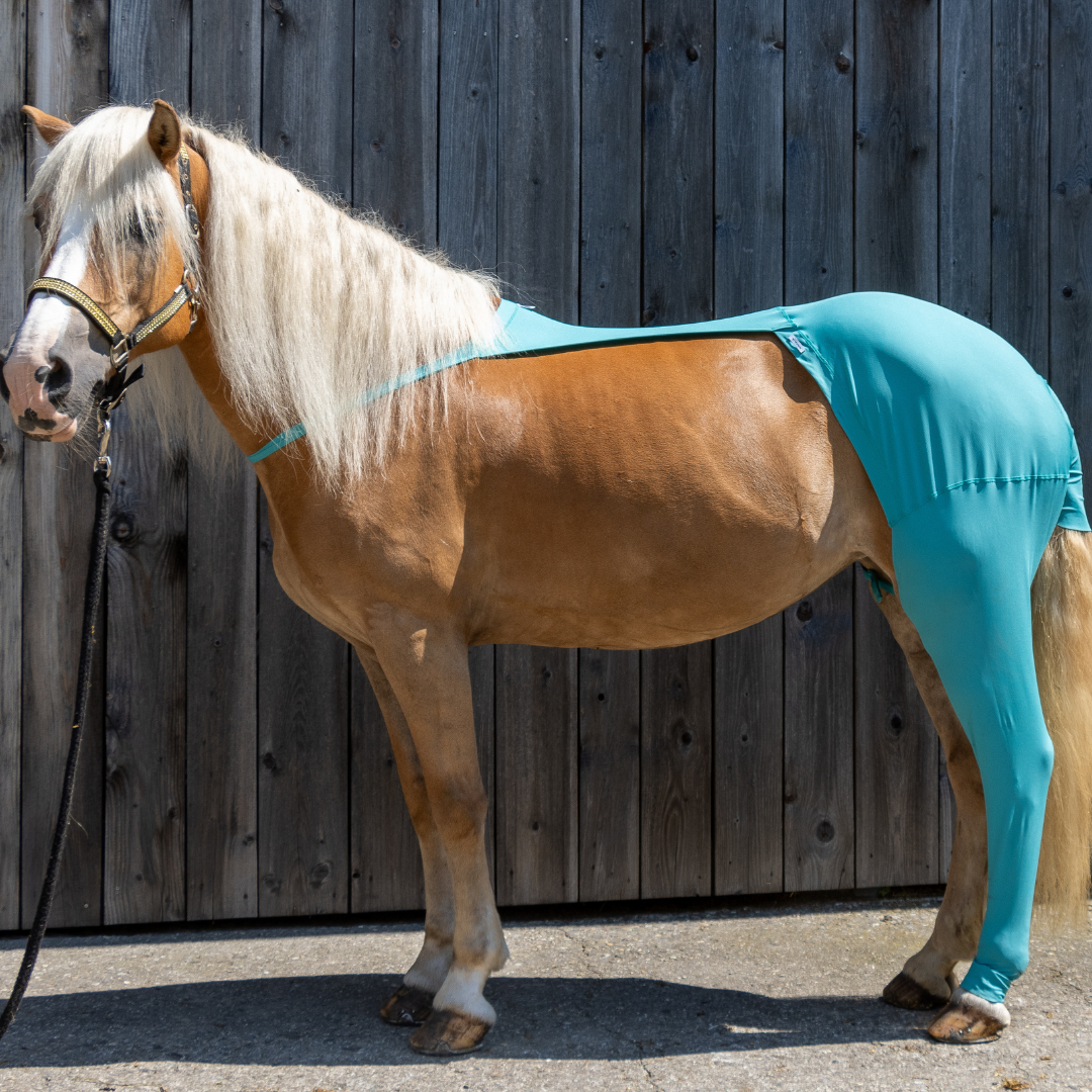 Horse leg warmer rear