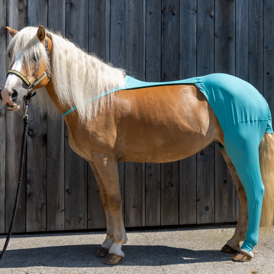 Horse leg warmer rear