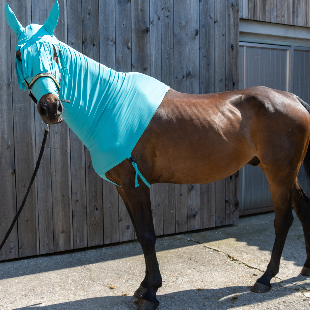 Horse hood