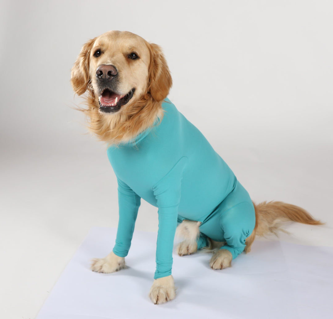 Dog body with legs