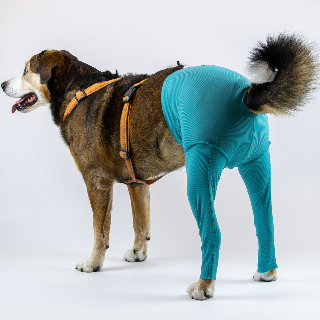 Safety Pants