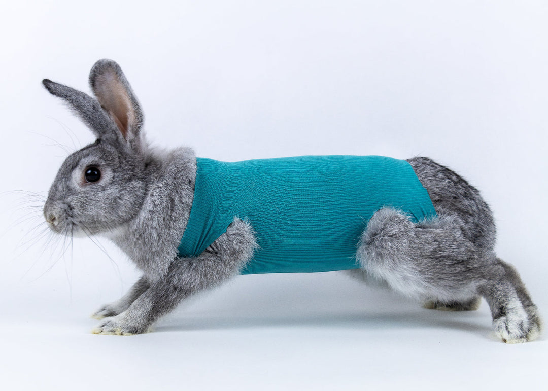 Safety Tube for small animals