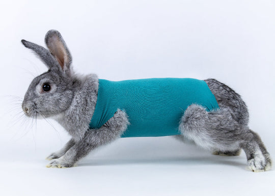 Safety Tube for small animals