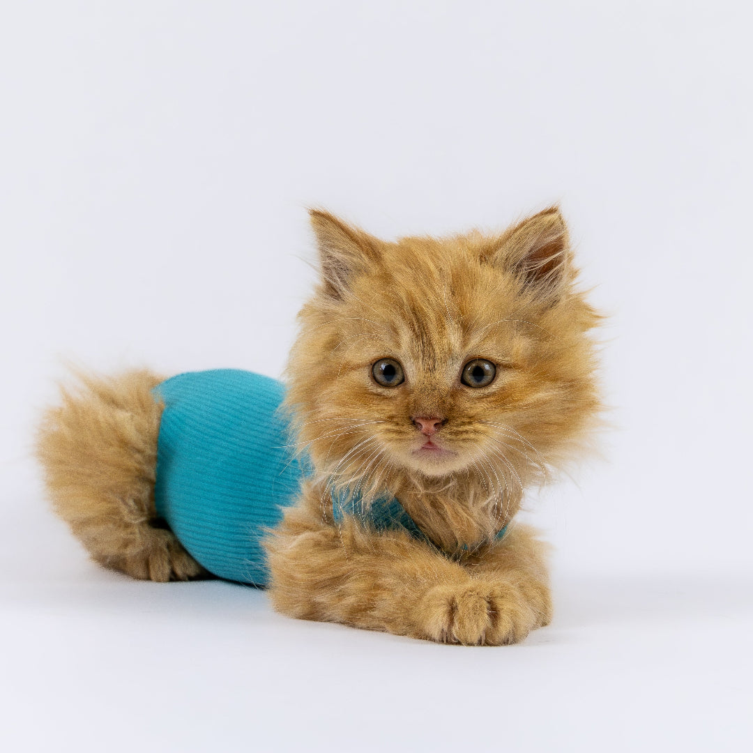 Safety Tube for small animals