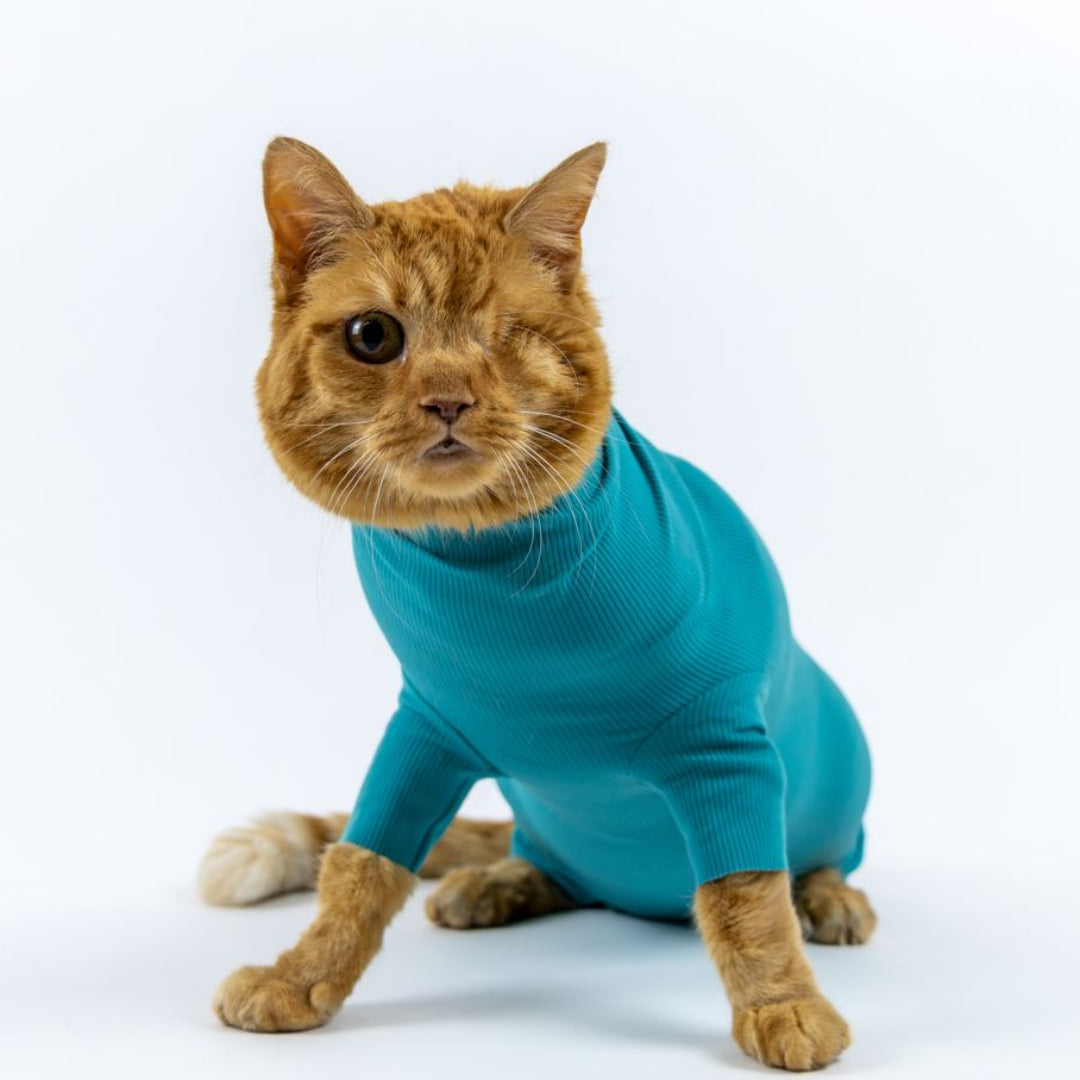 Cat Body