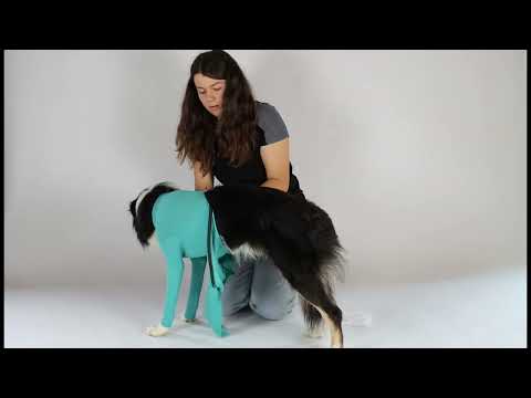 Dog Body with Zipper
