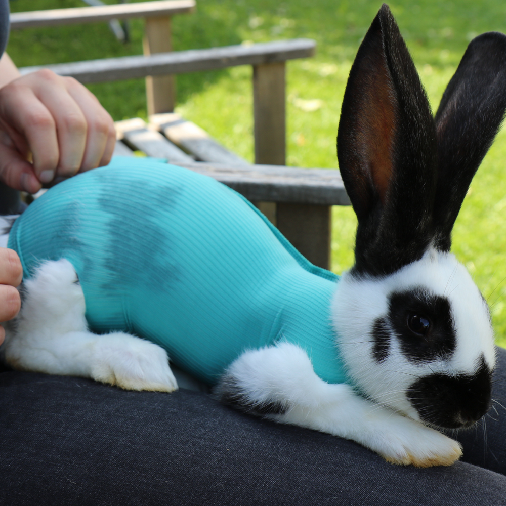 Safety Tube for small animals