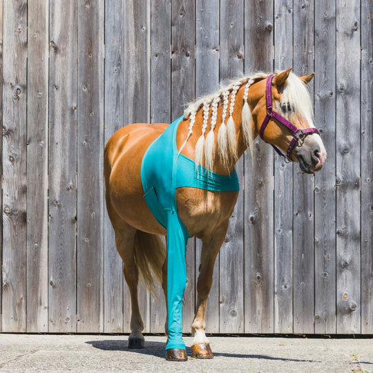 Leggings a cavallo sul davanti