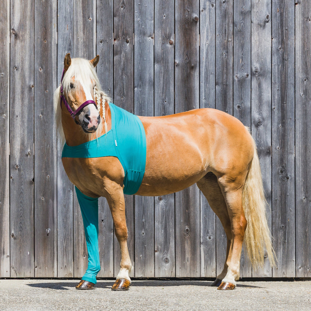 Leggings a cavallo sul davanti