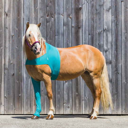 Leggings a cavallo sul davanti