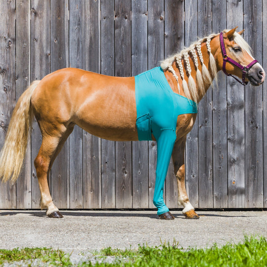 Leggings a cavallo sul davanti