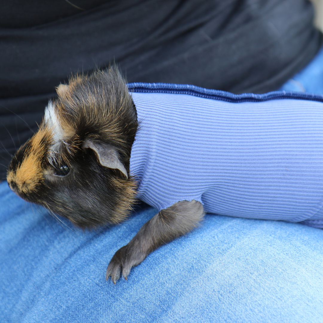 Safety Tube for small animals