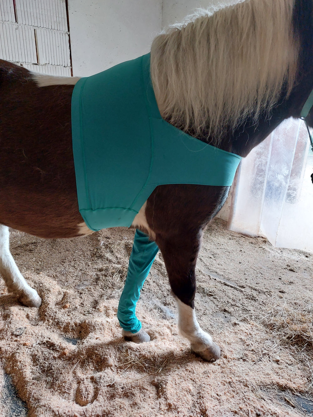 Horse leg warmer front