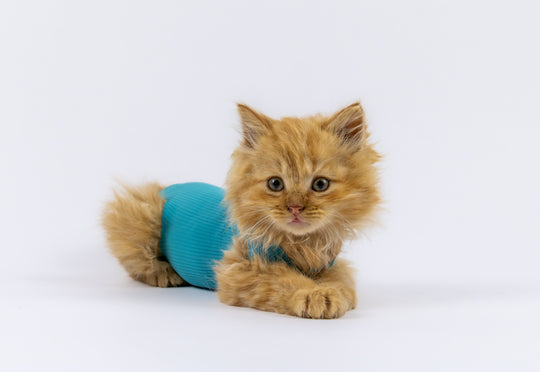 Safety Tube for small animals