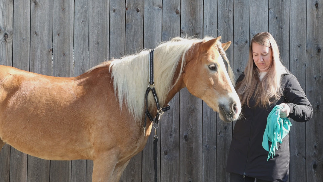 Protezione per la testa e le orecchie del cavallo con frange sulla fronte